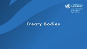 Preview image for the video "4 Treaty Bodies".