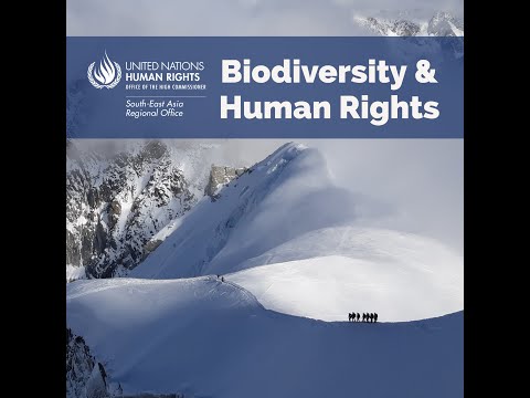 Preview image for the video "Biodiversity and Human Rights".