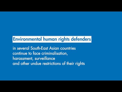 Preview image for the video "UN Human Rights Chief on environmental human rights defenders at HRC48".