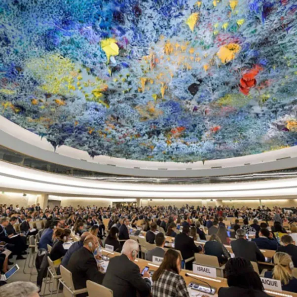 Human Rights Bodies